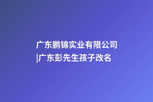 广东鹏锦实业有限公司|广东彭先生孩子改名-第1张-公司起名-玄机派